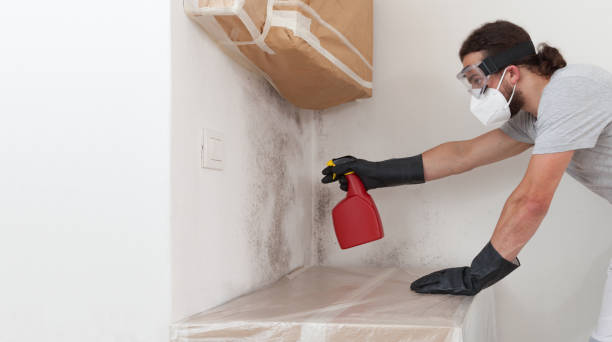 Professional Mold Removal technician working in Clifton, TX
